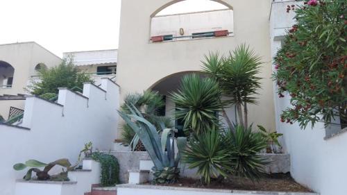 Santa Cesarea Terme Apartment | Salento Case Vela