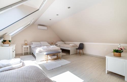 Szeged House | Salix Guesthouse by Mital