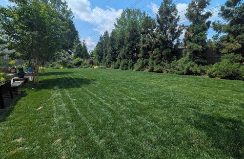 Westmoreland House | Saltwater Pool - Entire 4 BR Home + Yard is What You Need this Summer