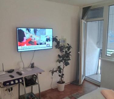 Cacak Apartment | Saluki 032
