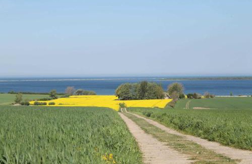 Pepelow Apartment | Salzhaff StrandHaeuser mit Kamin u