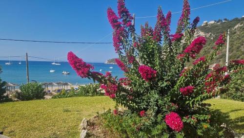 Afionas Apartment | SAN GEORGE COVE