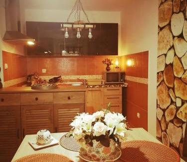 Vrnjacka Banja Apartment | San