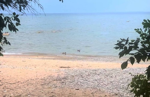 Wasaga Beach Apartment | SAND 2 SKI - Private Beach Close to Blue Mountain!