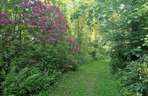 Whitland Cottage | Sandpiper Cottage