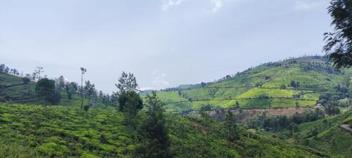 Ooty House | Sandy 4 Bhk Homestay - Only Adults Allowed