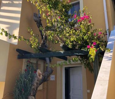 Sarlata Apartment | Sandy Beach Villas and Apartments
