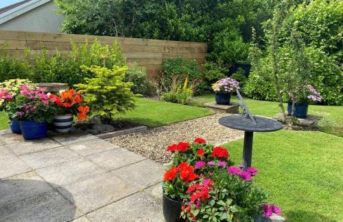 Kilgetty House | Sandy Paws - Saundersfoot