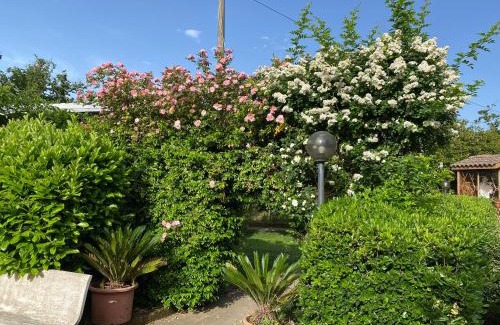 Forino Bed & Breakfast | Santa Maria Apartments