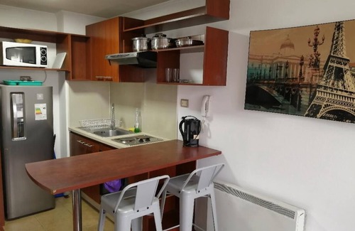 Downtown Santiago Apartment | Santiago Moneda Suites 1802