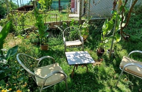 Sarajevo House | Sarajevo Green Garden