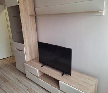 Sarajevska Apartment | Sarajevska Beograd