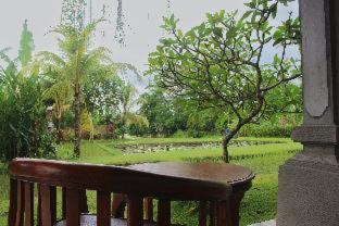 Nyuh Kuning Hotel | Saren Indah Hotel