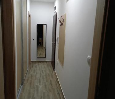 Kremna Apartment | Savić Tara