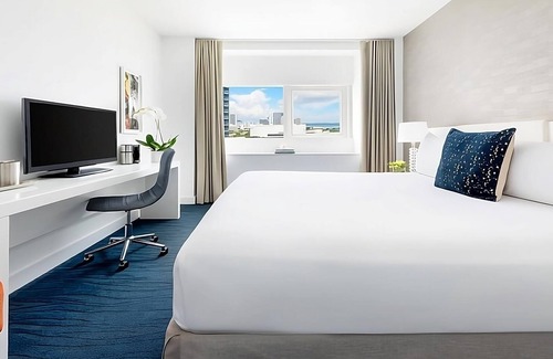 Downtown Miami Hotel | Savvy King in Miami, Enjoy Sea and Land Adventures!