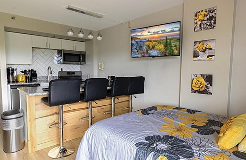 Snowshoe Condo | SC 2204 Bright Snowy Escape, Renovated Studio for 6