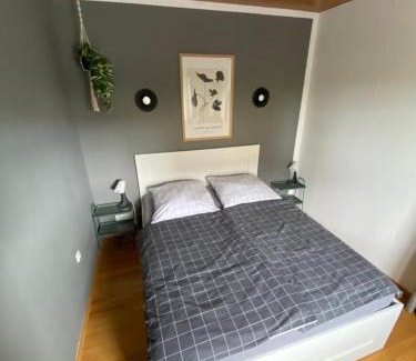 Mainz-Bingen Apartment | Schöne zentrale 2 Zimmer Wohnung