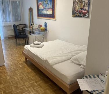 Basel Bed & Breakfast | Schönes Zimmer in der City Basel