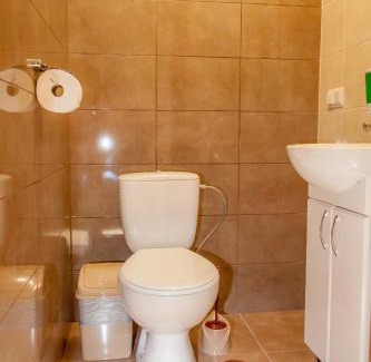 Mykulychyn Ski Chalet | Schale Centoriya