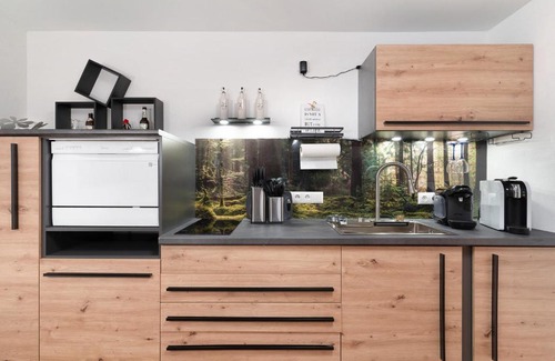 Illenau Apartment | Schwarzwald Chalet Achern