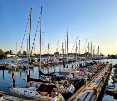 Fiumicino Boat Rental | Scoglietto Fiumicino, aperitivo e colazione incluse - bici comprese nel prezzo- barca a motore