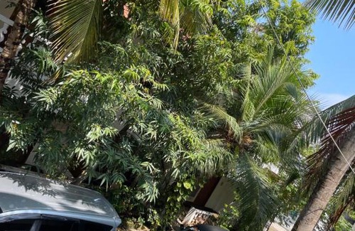 Mahabalipuram Beach Hotel | Sea breeze annexe