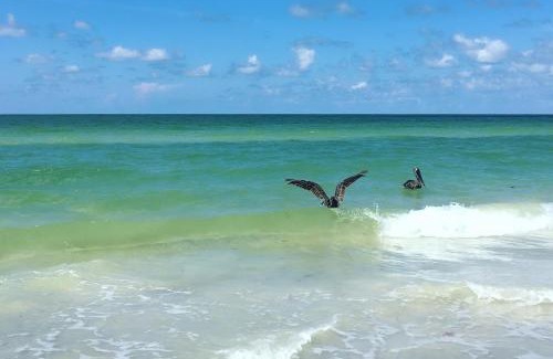 Sunset Beach House | Sea Breezy - Unit 1