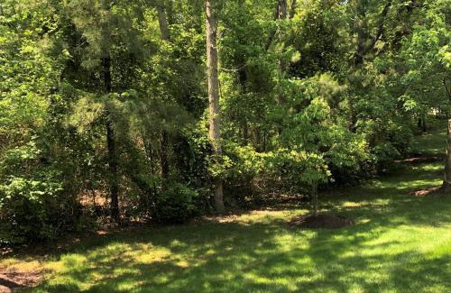 Bethany Beach Apartment | Sea Colony - 56114 Cypress Lake Cir