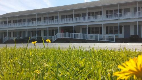 Chincoteague Hotel | Sea Shell Motel