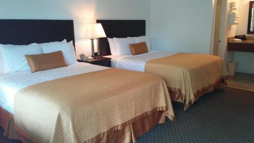Chincoteague Hotel | Sea Shell Motel