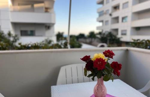 Velipoje Apartment | Sea View Apartment in Velipoja,Kompleksi Fishta