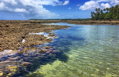 Ilha de Boipeba House | Sea view bungalow on Moreré beach (Boipeba Island)