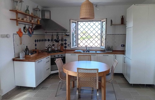 Patu Villa | Sea view villa set in a sea of ?. olive