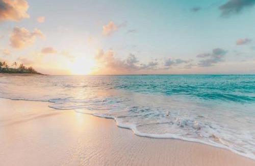 Kalapettai Resort | Sea Wave Beach Resort
