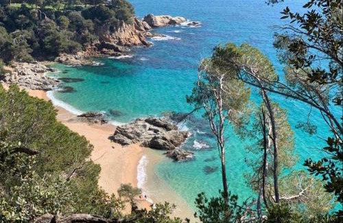 Lloret de Mar Apartment | SeaHomes Vacations, FENALS BEACH&CHIC, pk, top apartment full equipped