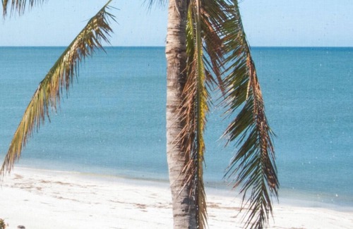 Bonita Springs House | Seas The Day at this Bonita Beach Cottage directly on the beach 2 story views !