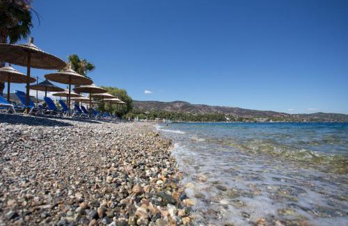 Agii Apostoli Apartment | Seaside Studios