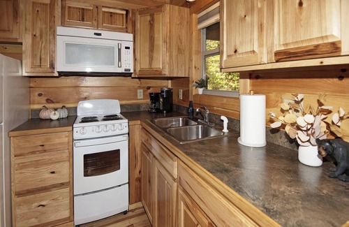 Carbon Hill Cabin | Secluded Cozy Cabin - Hot Tub, Fire Pit, Fireplace