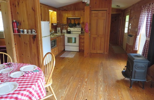 Mars Hill Cabin | Secluded dog-friendly mountain cabin on 50 acres 25 minutes from Asheville