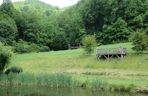 Mars Hill Cabin | Secluded dog-friendly mountain cabin on 50 acres 25 minutes from Asheville