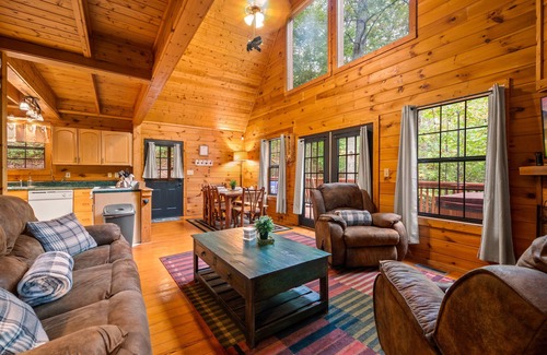 Pigeon Forge Cabin | Secluded! Kid/Pet Friendly! Location!