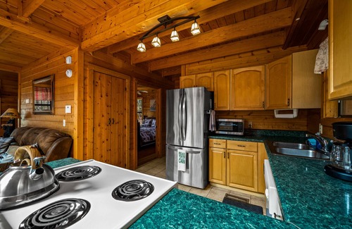 Pigeon Forge Cabin | Secluded! Kid/Pet Friendly! Location!