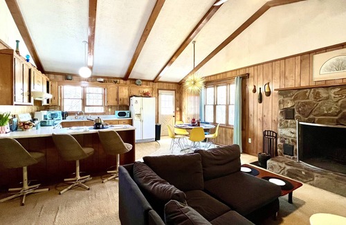 Mineral Bluff Cabin | Secluded Mid Century Hideaway