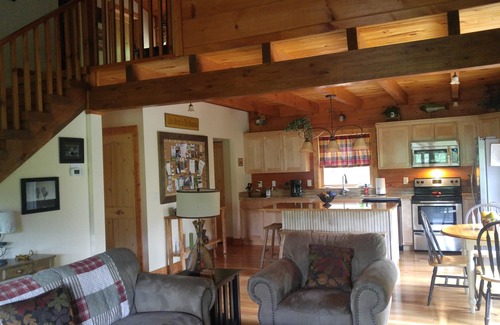 Bryson City Cabin | Secluded Mountainside Cabin, Close to Town, No 4 wheel drive needed! Hot Tub!