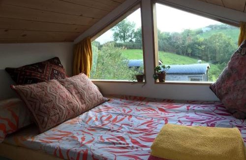 Ashburton House | Secluded Shepherds Hut, with a view and hot tub