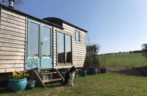 Ashburton House | Secluded Shepherds Hut, with a view and hot tub