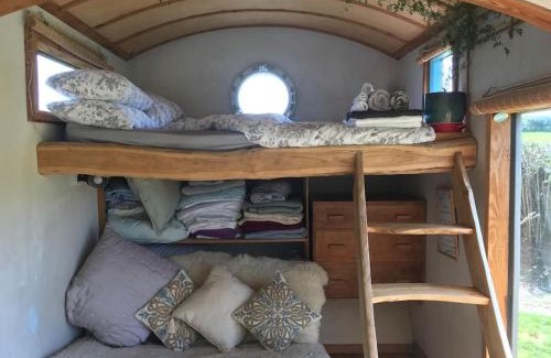 Ashburton House | Secluded Shepherds Hut, with a view and hot tub