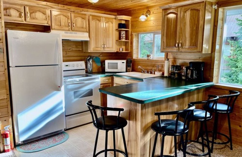 Island Park Apartment | Secret Cabin w/Dock - Fire Pit - Near Yellowstone
