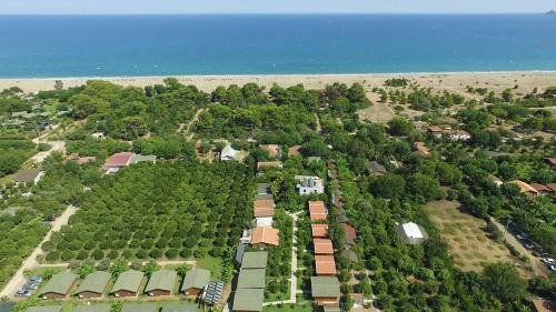 Cirali Other | Secret Garden Hotel & Bungalows