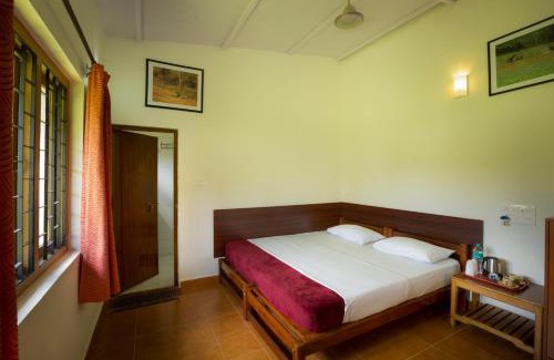 Masinagudi Hotel | SECRET IVORY